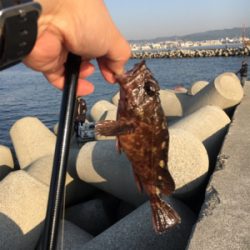 フカセでチヌ！