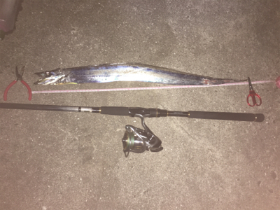 タチウオリベンジ