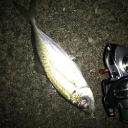 何故そこ!?(釣行 其の弐拾壱)