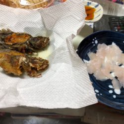福浦で穴釣り