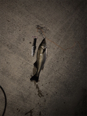 寒い中一匹！！！！