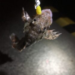 遊んでくれました