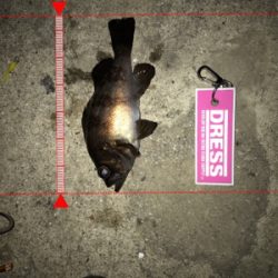 爆風につき早々に退散