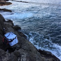 磯でフカセ釣り