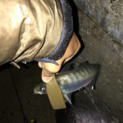 爆風に次ぐ爆風