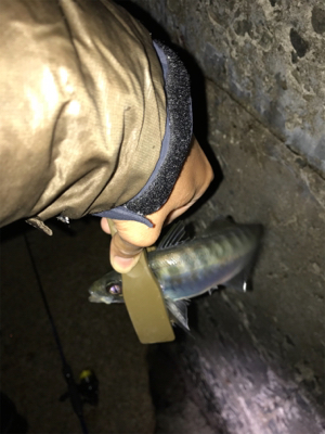 爆風に次ぐ爆風