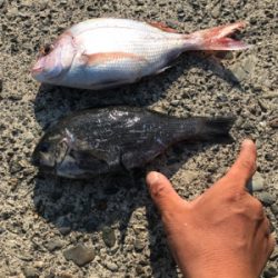 色々小物つれた