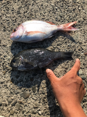 色々小物つれた