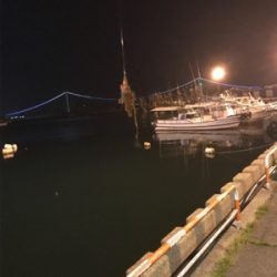 当たりは多かったのに…