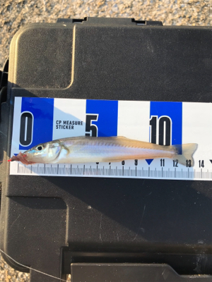 ちょい投げキス+α