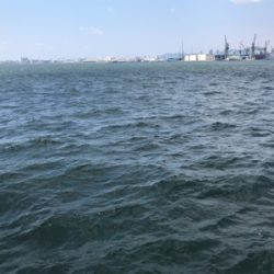 正月ぶりのショアジギ