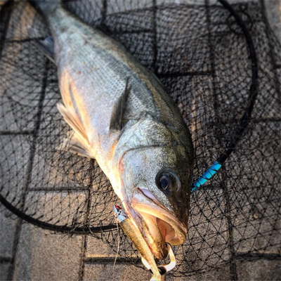 なんとかキワで2本