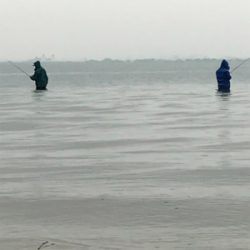 今年初バス！！