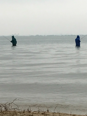 今年初バス！！