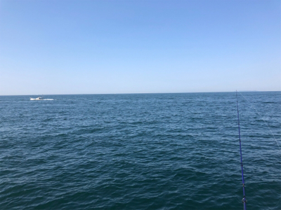 ガシラ爆釣、青物不発