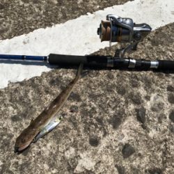 子どもの日で満員御礼