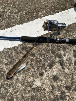 子どもの日で満員御礼