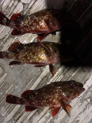 夜にガシリング