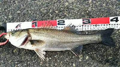 短時間の連チャン