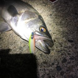 リベンジ達成‼️