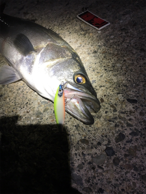 リベンジ達成‼️