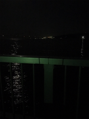 渋い、なんとか1匹