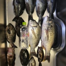 ゴールデンウィーク8日目