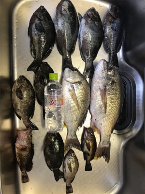 ゴールデンウィーク8日目