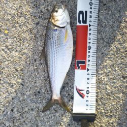 ゴールデンウィーク釣行！