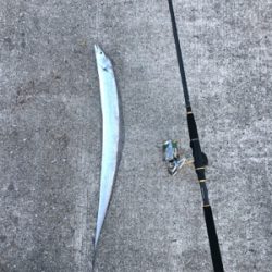 少なくなってきた〜〜