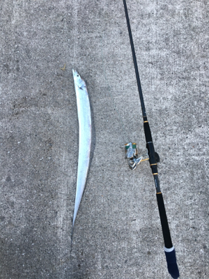 少なくなってきた〜〜