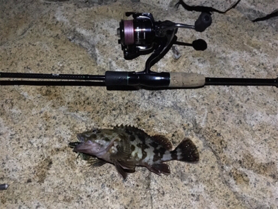 淀川ブリームゲーム 紀ノ川遠征