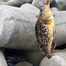 思い通りにはいかない…