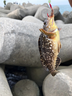 思い通りにはいかない…