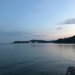 癒しのアジング