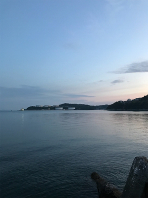 癒しのアジング