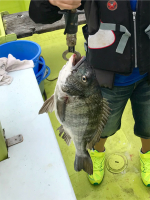 子供と釣船体験