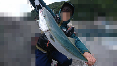 トップでメジロ!