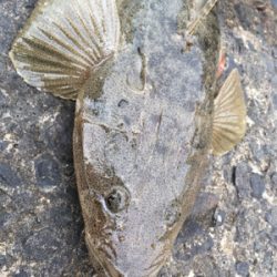 ゴールデン最終日