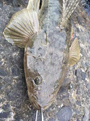 ゴールデン最終日