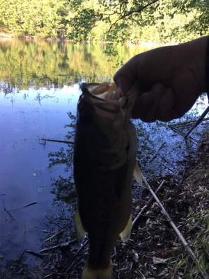 上田にある須川湖