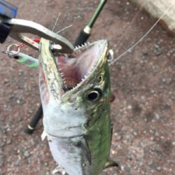 タイミングよく