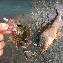 ライトゲームに変更