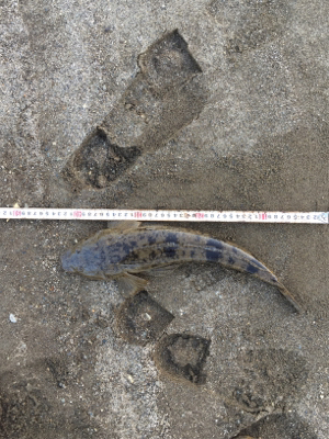 ちょっと!まっすぐになって‼︎‼︎