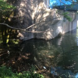 早朝玉川ダムでなんとか…!