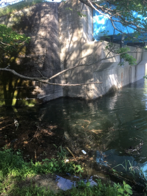 早朝玉川ダムでなんとか…!