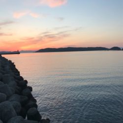 サーフエギング