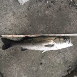 仕事終わりに少しだけ