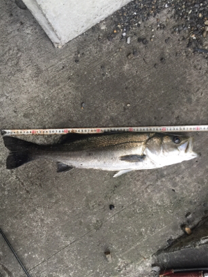 仕事終わりに少しだけ