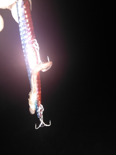 バチ抜けシーバス